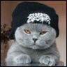 MissCasper