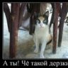 Дерзкий