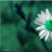 -=OverLay=-