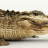 PREDATOR