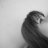 AmOuR_QueeN