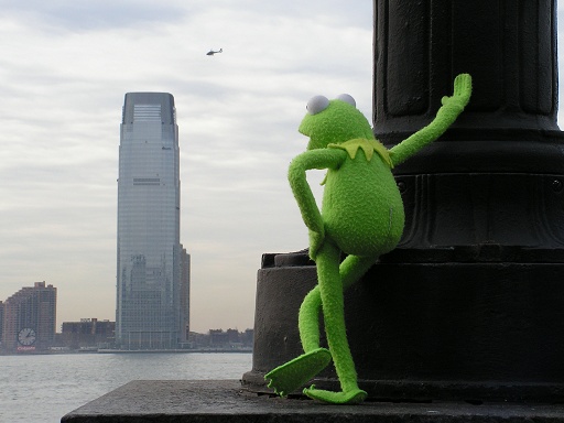 Фотография New M