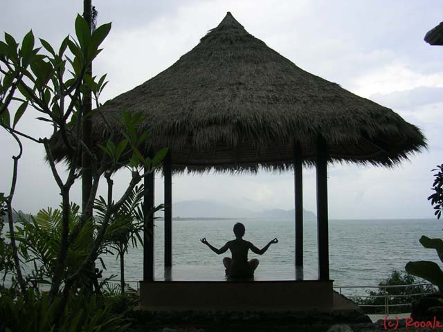 Фотография Rooale