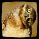 Аватар для .lockie