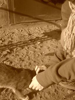 Фотография Marky