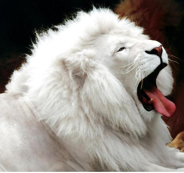 Фотография KarlMarx