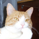 Аватар для ТУпой