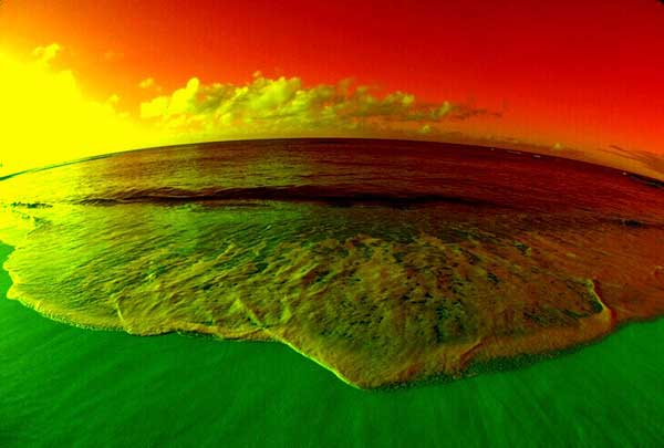 Фотография mumii