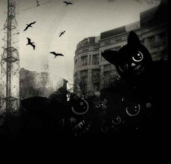 Фотография Limewax