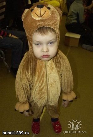 Фотография Shmit.