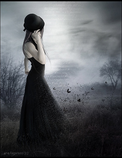 Фотография PaletTe