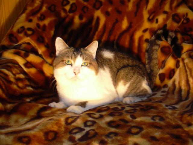 Фотография NatCache