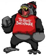 Аватар для shaffer