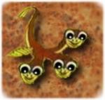 Аватар для CRR