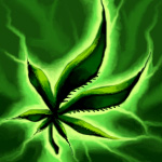 Аватар для Жорик