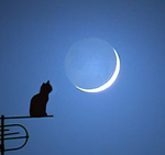 Аватар для Том