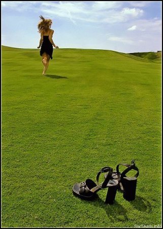 Фотография Цви