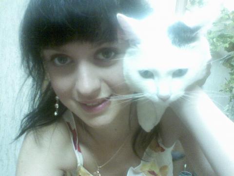 Фотография цукерка