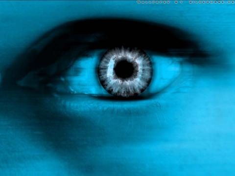 Фотография Nikita05