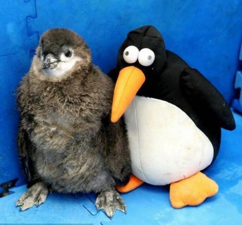 Фотография VERSUS