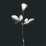 Аватар для Flight 643