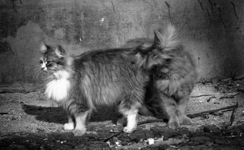 Фотография yolkin