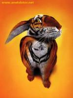 Аватар для Keirn