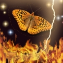 Аватар для SunFlower