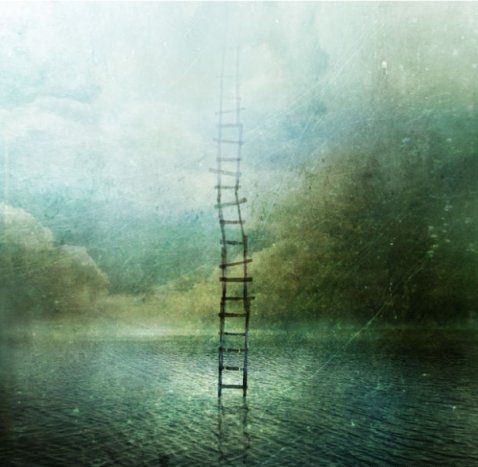 Фотография Lika...