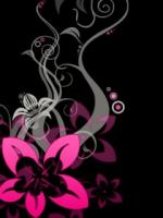 Аватар для Flashy