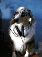 Аватар для pashajkee