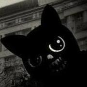 Аватар для Limewax