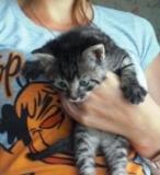 Аватар для iSteri4k@