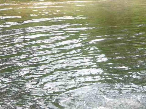 Фотография Slonuk