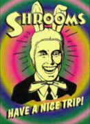 Аватар для Жук