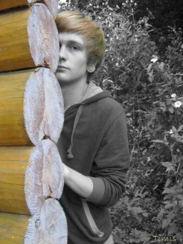 Фотография Timis