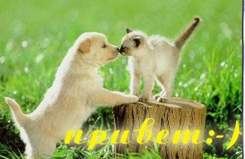 Фотография JI.e.I{.s.S.s