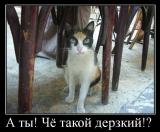 Аватар для Дерзкий