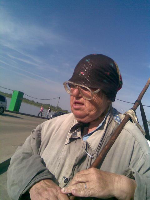 Фотография phlex