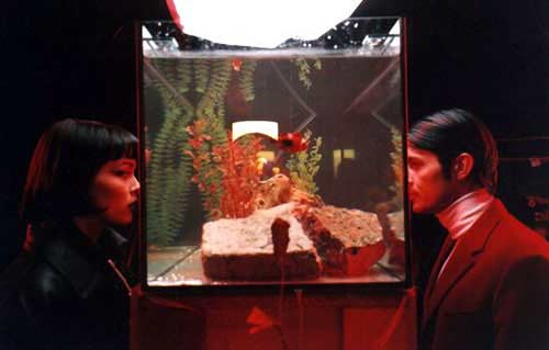 Фотография FiNa