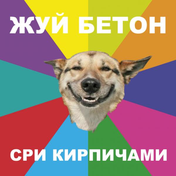 Фотография HeaD