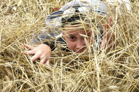 Фотография ФаSолька