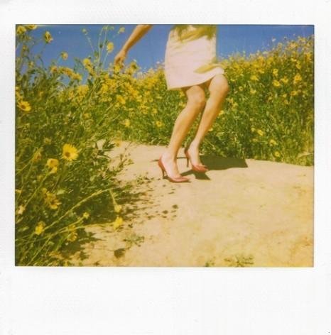 Фотография AMELI