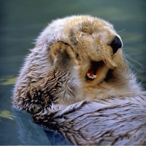 Фотография Present Tense