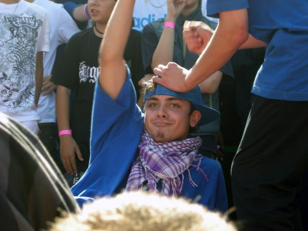 молоточки гвоздики