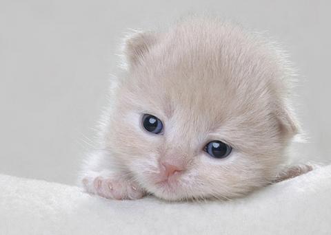 милашгааа)))