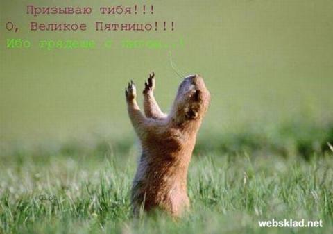 1232005728 img 6881300 657 28