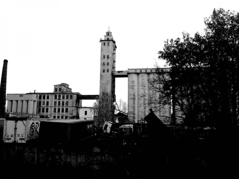 2D. Владимир