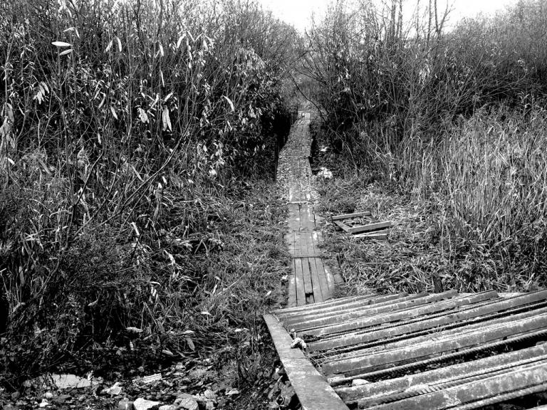 тропа. Владимир