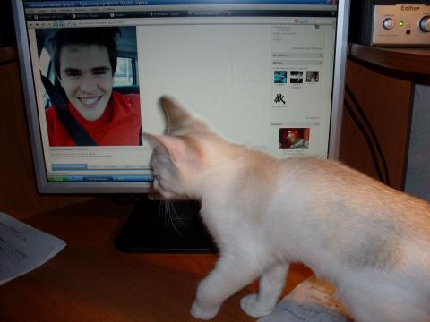 Угадай, кто... !!!